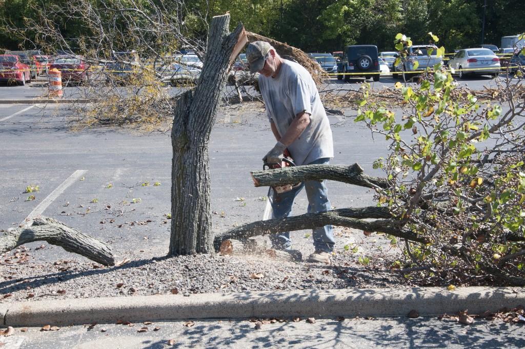 Construction crews work Monday to remove trees from Parking Lot C, near the Physical Activities Center.